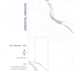 东方飞龙白五合一 哑光